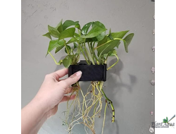 SwetAqua APH-S - Крепление для надводных растений