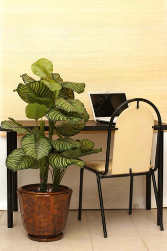 Керамический цветочный горшок "Кедр" коричневый 36 см (18 л)