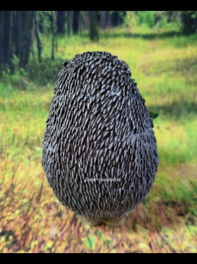 ЁЖИК С ЯБЛОЧКАМИ  15*10см  0,4кг   полистоун Россия 672/012432   Ежик - символ защиты и удачи. Защищайте свой дом и участок с помощью этих милых зверьков.