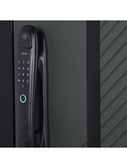 Стальная дверь   Лион (биометрический замок Smart lock DZ 888). Заказная модель.