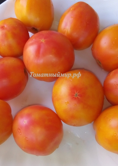 Томат Козула 141 (Kozula 141)