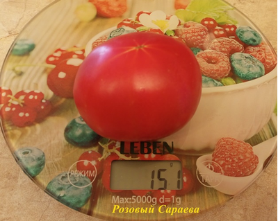 Томат Розовый Сараева