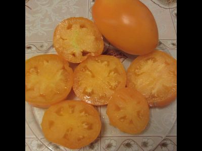 Томат Стаканы оранжевые минусинские