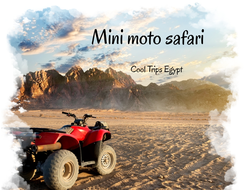 Mini moto safari - quad biking (morning or afternoon)