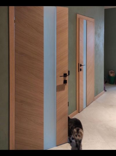 PORTE RICHI (Беларусь). ПРАКТИКА, МОДЕЛЬ К41, НАТУРАЛЬНЫЙ ШПОН ДУБА (БРАШ КОЛОР), ТОН 12/СТЕКЛО МАТОВОЕ