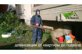 Обработка участка от клещей