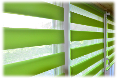 Рулонные шторы ЗЕБРА