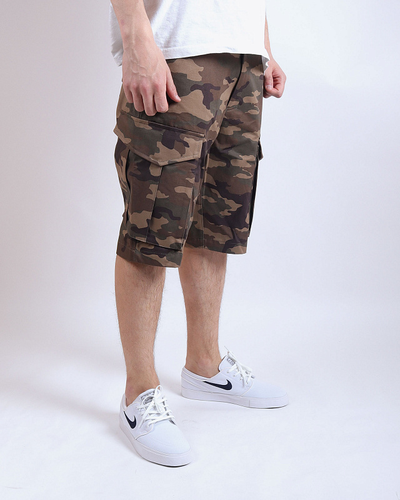 Шорты Anteater BCargoshorts Camo