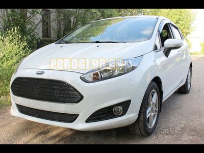 Защита радиатора Ford Fiesta MK6 (рестайлинг) 2015- black верх PREMIUM