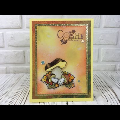 ФП штамп "Боровички"