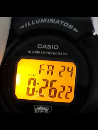 Часы Casio W-219H-2A2