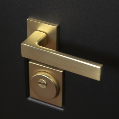 Стальная дверь   Сингапур с зеркалом. Заказная модель.