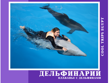 ДЕЛЬФИНАРИЙ В ХУРГАДЕ - ПЛАВАНЬЕ С ДЕЛЬФИНАМИ (5 ИЛИ 10 МИН)