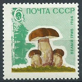 3038. Белые грибы