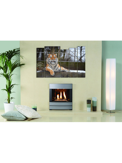 Модульная картина "Спокойный тигр"