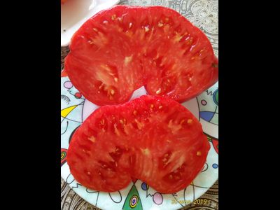 Томат Замок Шартр (усл)