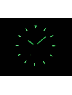 Наручные часы Seiko SNZG09K1