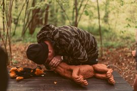 Первая помощь животным (собакам и кошкам)