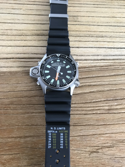 Наручные часы Citizen JP2000-08E