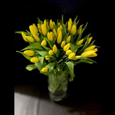 Тюльпаны 51 шт