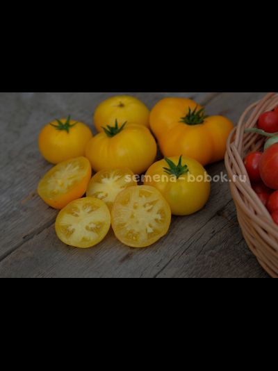 Томат Dwarf Jasmine Yellow (Гном Желтый Жасмин), 10 шт