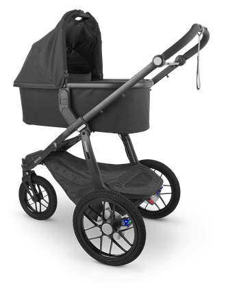 Коляска 2в1 UPPAbaby Ridge Theo
