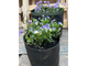 Кашпо садовое 10 литров. Умный тканевый горшок Гроубэг
