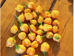 Перец острый Aji Mango