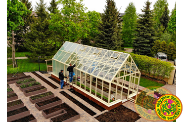 Теплица по индивидуальному заказу из алюминия и стекла 9000х3500мм.
Длина в 9 метров позволит вырастить разнообразие культурных растений. При желании можно добавить внутреннюю перегородку. Подробное описание в каталоге 35-9U
