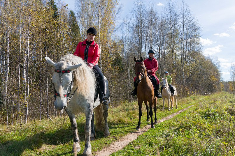 Прогулки на лошадях пони. Одежда для прогулке на конях. Кататься на лошадях в ярославле. Конные прогулки ярославль. Кони в конном клубе.