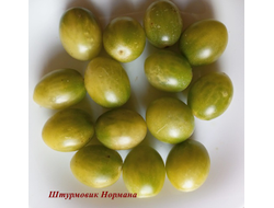 Томат Штурмовик Норман черри (Stormin Norman)