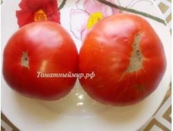 Томат Ник Харп Особенный (Nick Harp's Special, Германия)