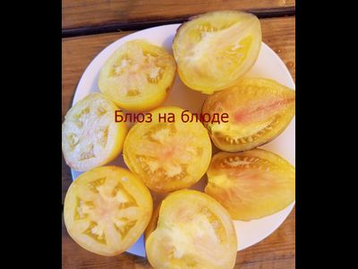 Томат Блюз на блюде (Blues on a Platter)