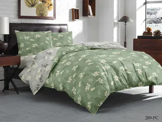Постельное белье Cleo полутороспальное поплин 145х215х1 150х220х1 50х70х2 16/289-PCE