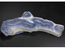 Коралл голубой Акори, Австралия (106*39*15 мм, 56 г) №37712