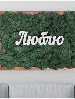 ЖИВАЯ ЭКО-КАРТИНА 1053