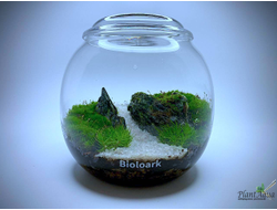 Чаша Пузырь Biolark  THREE (120мм х 105мм)