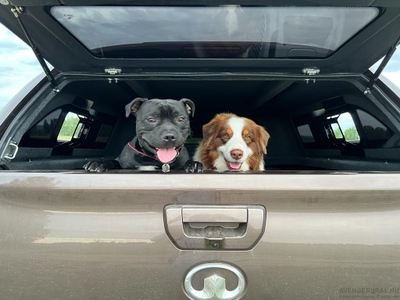 Собака - друг человека. Кунг Sk4 - друг пикапа Грейт Вол Поер! AVENGERURAL.RU рекомендует!!!