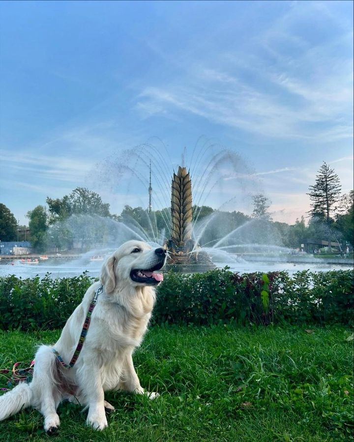 Мишка (Русское Золото Ямиш), 1 год