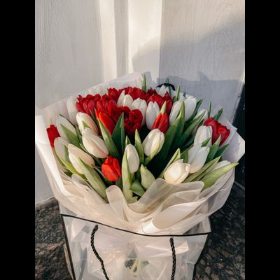 Красные тюльпаны "Поцелуй весны" 35