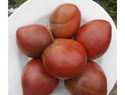 Томат Томат Лонгхорн (Longhorn)