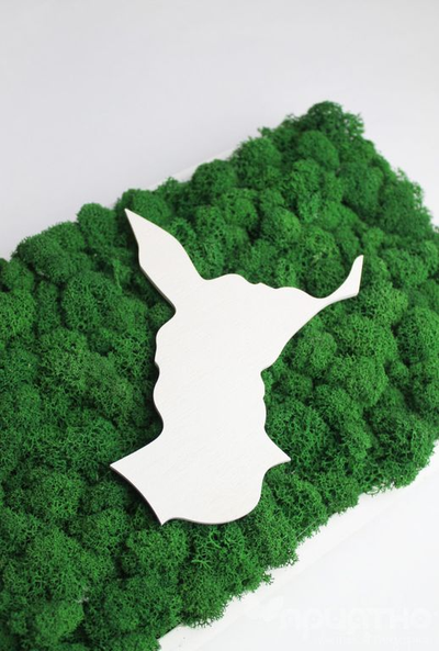 ЖИВАЯ ЭКО-КАРТИНА 1033