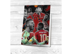 Обложка на паспорт Манчестер Юнайтед, Manchester United FC №6