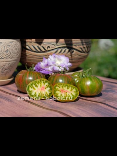 Томат Гарвардский сквер (Harvard Square), 10 шт