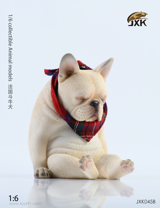 Французский бульдог (белый) - Коллекционная ФИГУРКА 1/6 scale French bulldog (JXK045B) - JXK
