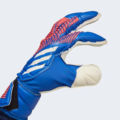 Перчатки вратарские Adidas Predator Match H53733