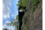 IMG_8553.jpeg