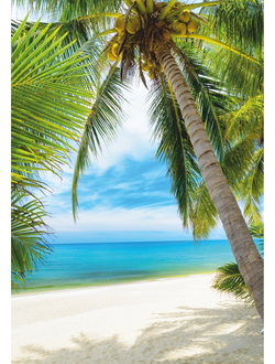 Фотообои Симфония "Под пальмой"