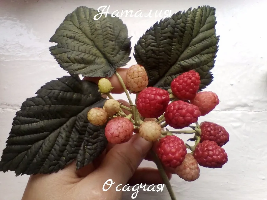 Работа Наталии Осадчей.