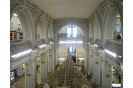 квест в зоомузее